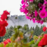Heiligenbrunnen 3* טיטיזי-נוישטאדט