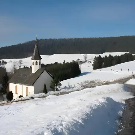 Heiligenbrunnen * Titisee-Neustadt