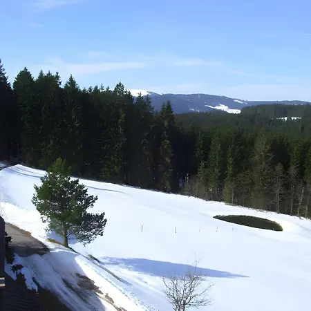Heiligenbrunnen * Titisee-Neustadt