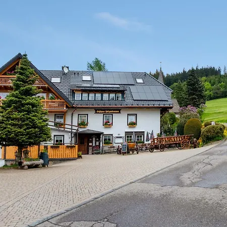 Heiligenbrunnen Guest house *