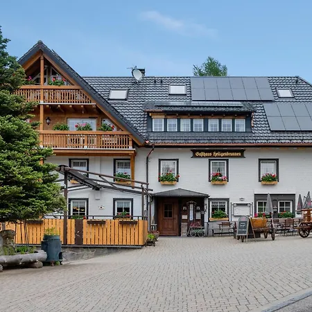 Heiligenbrunnen * Titisee-Neustadt