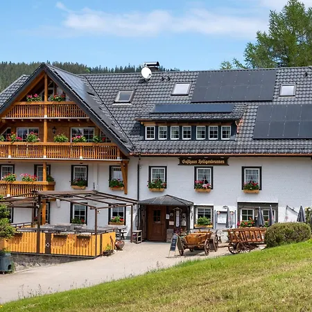 게스트하우스 Heiligenbrunnen 3*